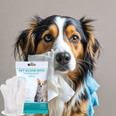 Pet disposable gloves for bathing and cleaning