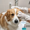 Pet disposable gloves for bathing and cleaning