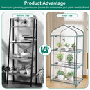 Greenhouse 4 Tier Walk-in Transparent Cover