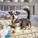 Pet disposable gloves for bathing and cleaning